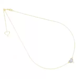 Girocollo in Argento Dorato