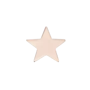 Orecchino a lobo singolo in Argento 925